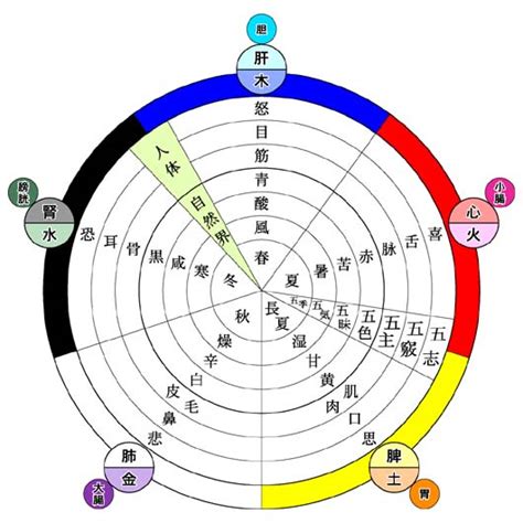 時間 五行|陰陽でみる1日の時間属性｜宏福中医研